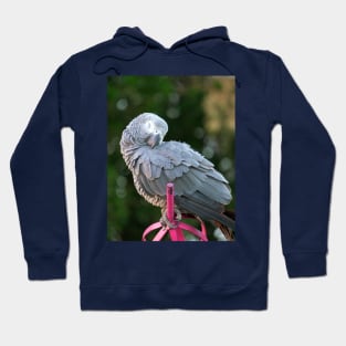 MACAW Hoodie